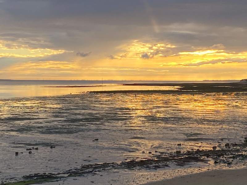 Vue mer  Chai nous comme Chai vous Restaurant La Flotte, Île de Ré 